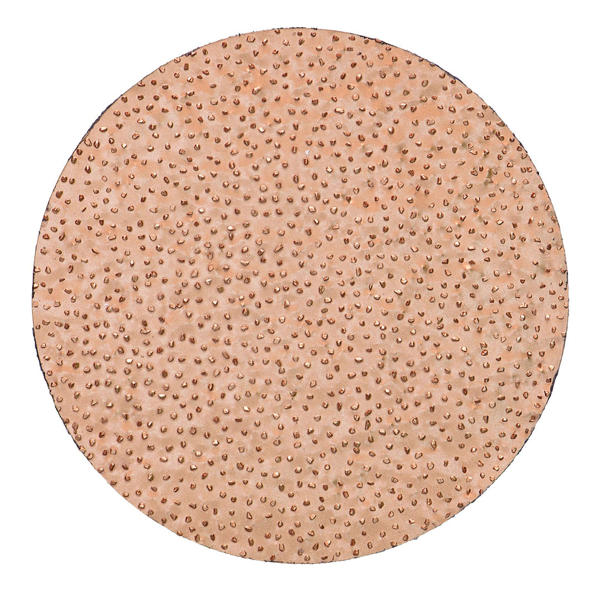 Rokamat Hard Metal Rasping Disc — 7.87in. Diameter, Fine Grit, Compatible with Chameleon Tool, Model# RKT22405